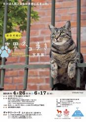 180412 世界ネコ歩き A4チラシ 表改2.jpg